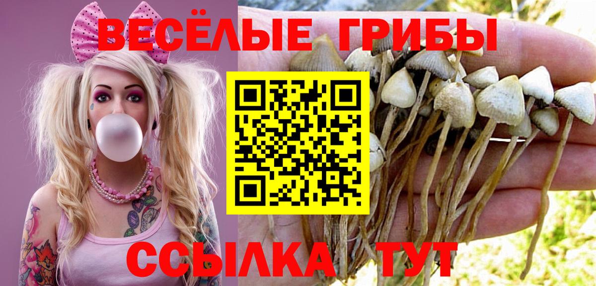 Псилоцибиновые грибы Cubensis Богданович